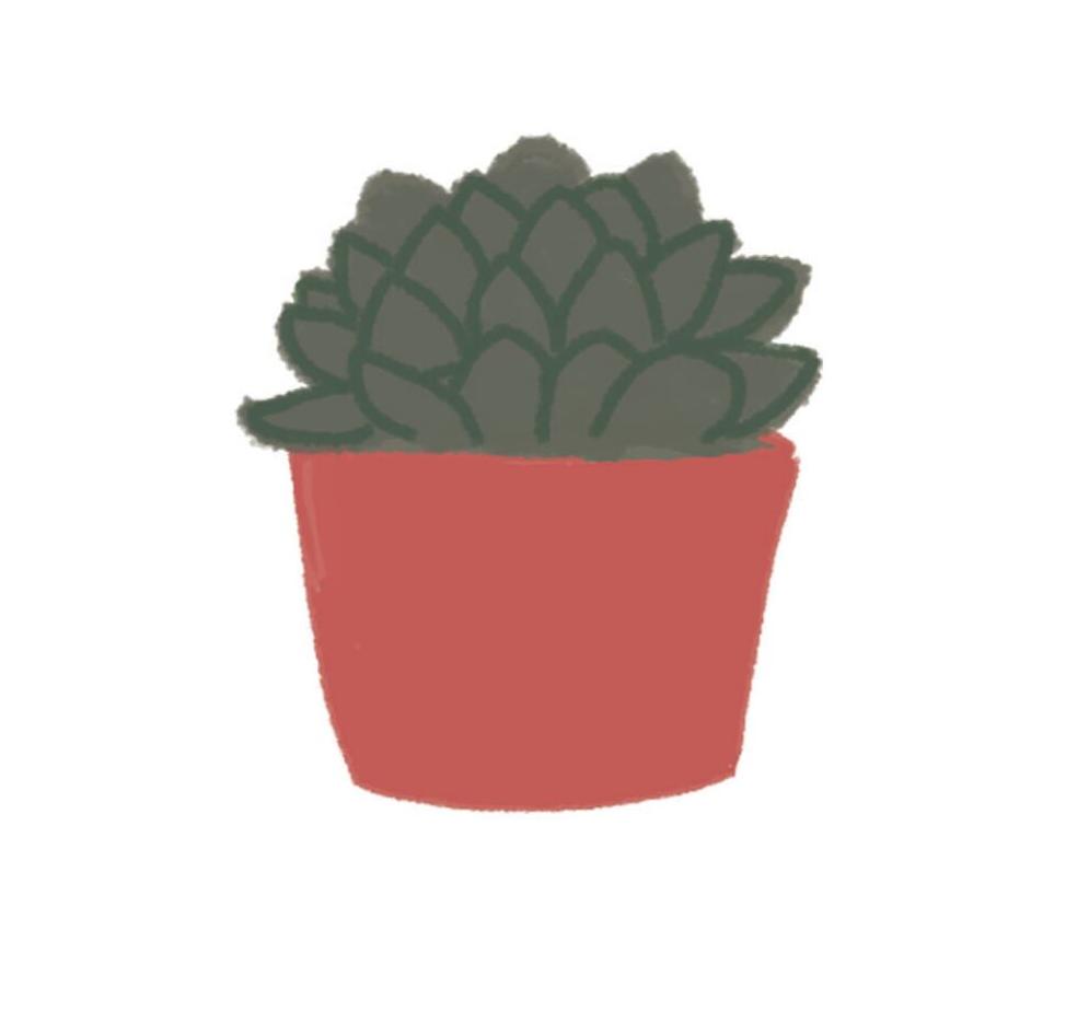 Plant parenting 101: the easiest plants for students to raise